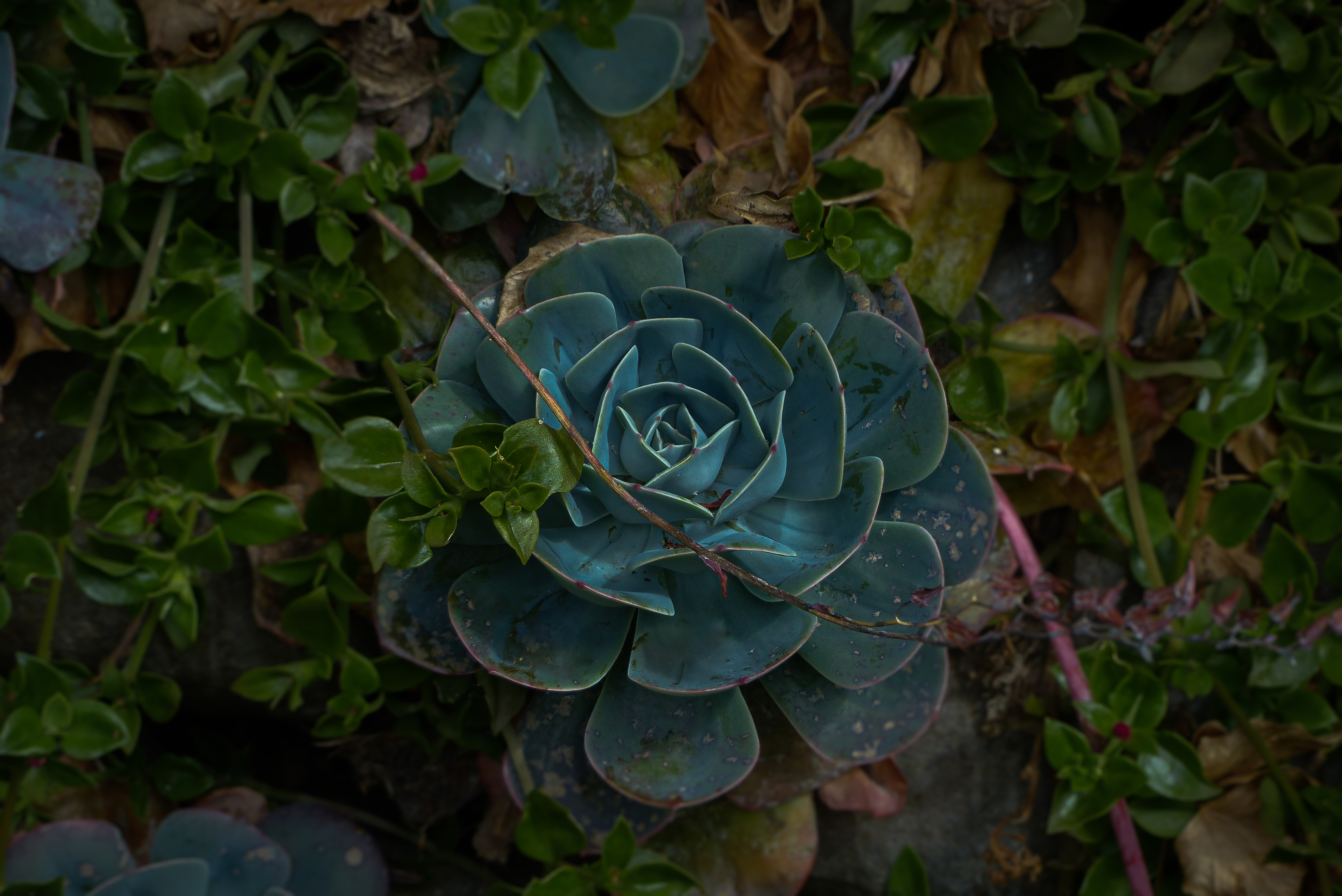 Image 10